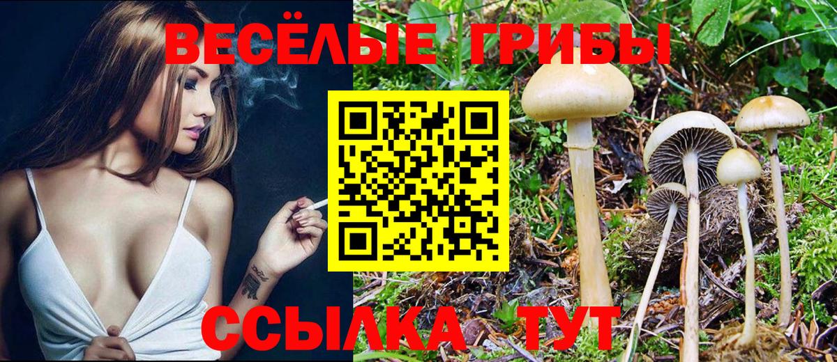 Псилоцибиновые грибы Magic Shrooms  Вход с VPN  Ростов-на-Дону  где можно купить   Псилоцибиновые грибы Cubensis 
